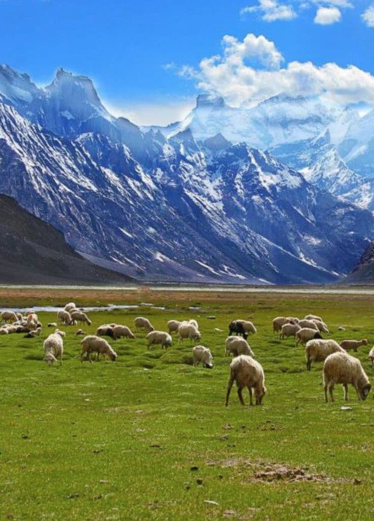 Jammu & Kashmir, Dal Lake, Gulmarg and the Vaishno Devi trek