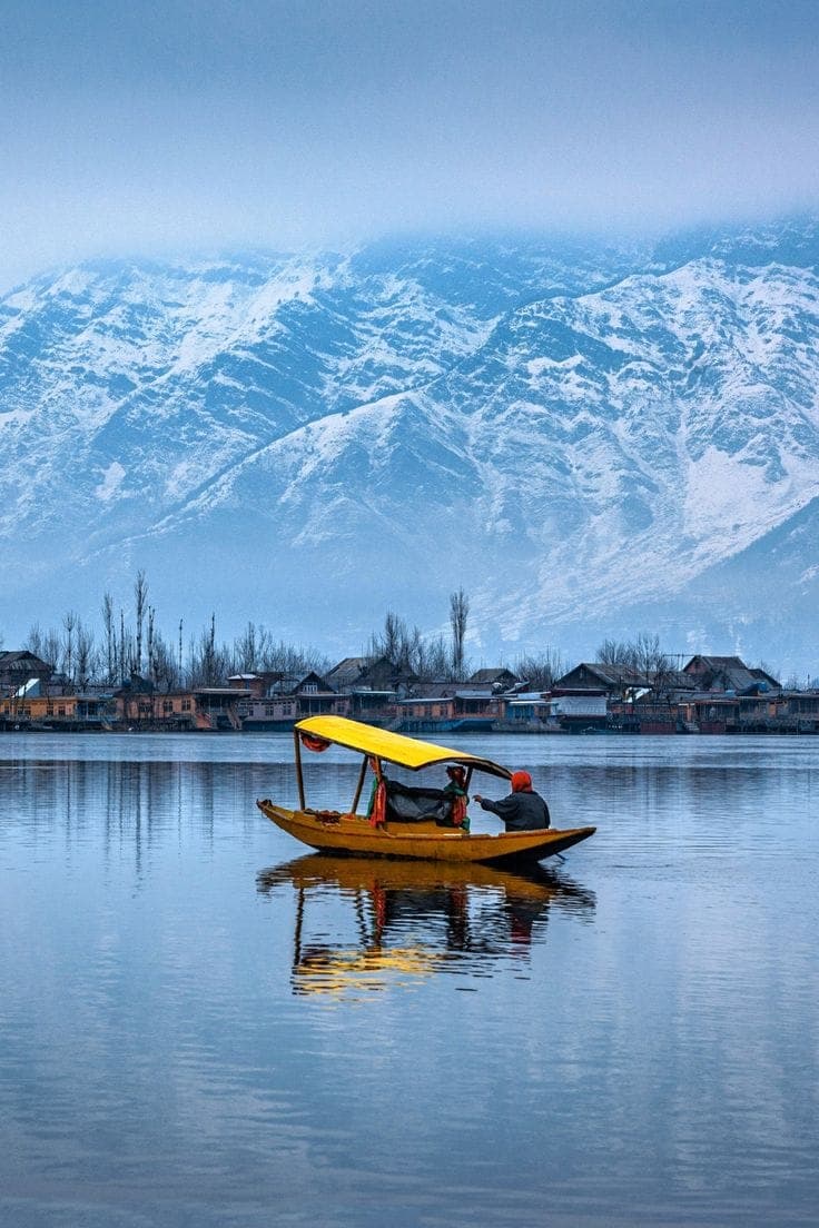 Kashmir Special